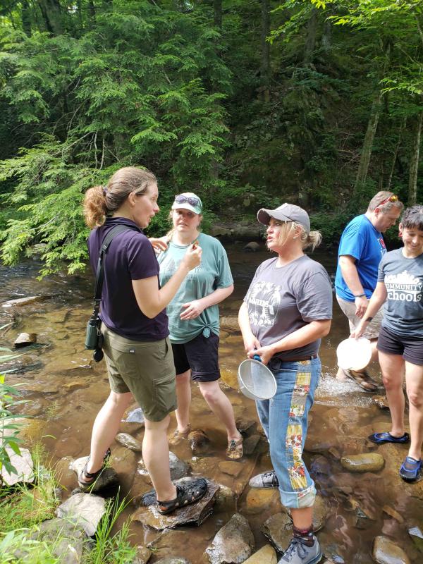 Curriculum, instruction and special education associate professor encourages teachers, students to become citizen scientists